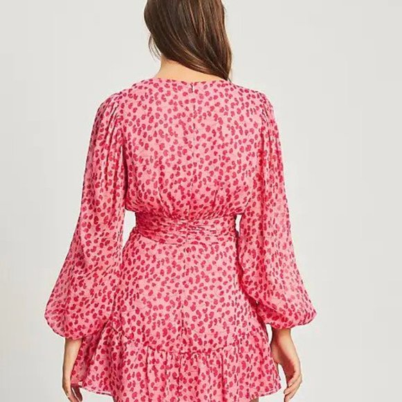 Beautiful, Sexy, Sweet Mini Dress - Picture 4 of 6